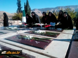 هفته تربیت بدنی در مرکز آموزش عالی سلمان فارسی