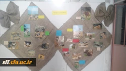 مرکز اختلالات