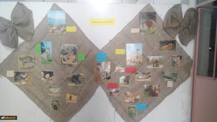 مرکز اختلالات