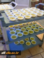 زیارت عاشورا