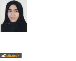 پژوهشگر برتر