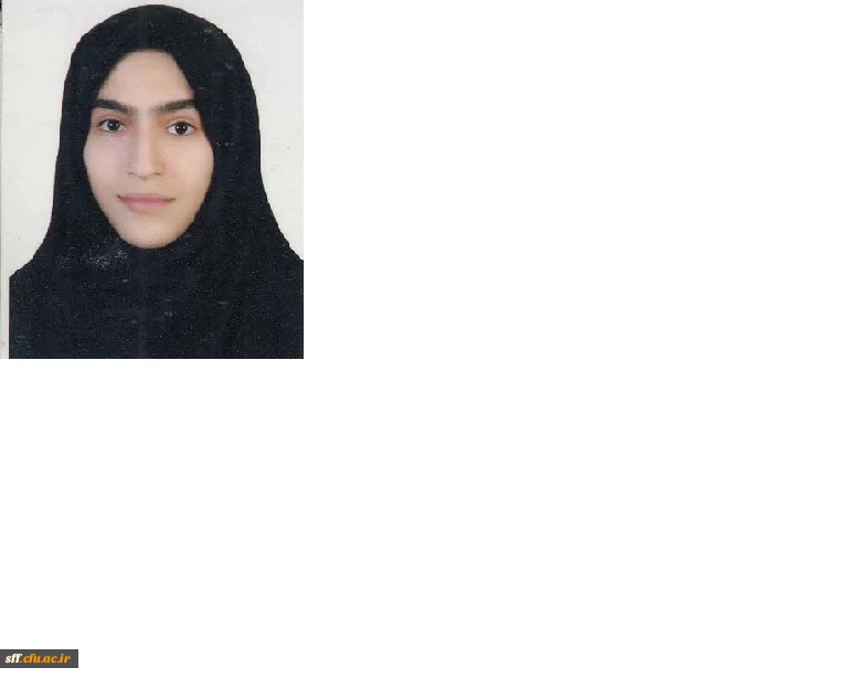 پژوهشگر برتر