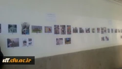 نمایشگاه عکس