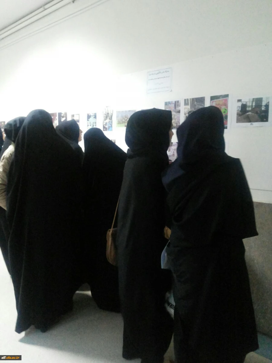 نمایشگاه عکس