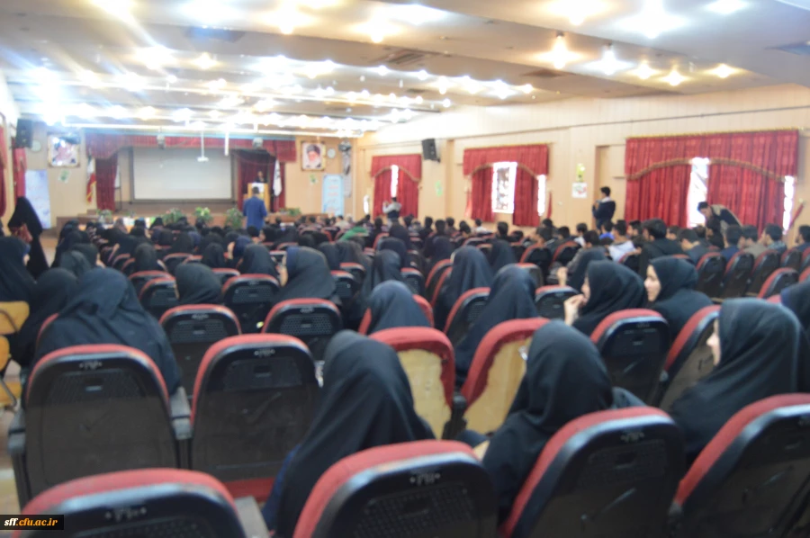 پژوهشگر برتر