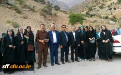 جشنواره تاتر