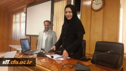 پیمایش موبایلی