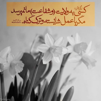 سالروز شهادت امام محمد باقرعلیه السلام تسلیت باد