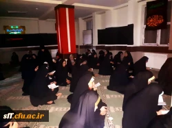 همزمان با ایام شهادت حضرت رقیه (س) مراسمی معنوی در نمازخانه مرکز سلمان فارسی شیراز برگزار شد.قرائت زیارت پر فیض عاشورا، مداحی و روضه خوانی از برنامه های این مراسم معنوی بود. 2