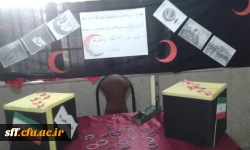 برپایی نمایشگاه دست ساخته های کانون های سلمان فارسی شیراز به مناسبت ایام اله دهه فجر 10