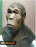 بازدید از بخش های تاریخی پژوهشکده معلم (انسان های اولیه) 2