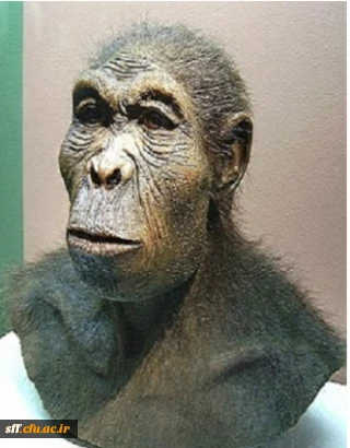 بازدید از بخش های تاریخی پژوهشکده معلم (انسان های اولیه)