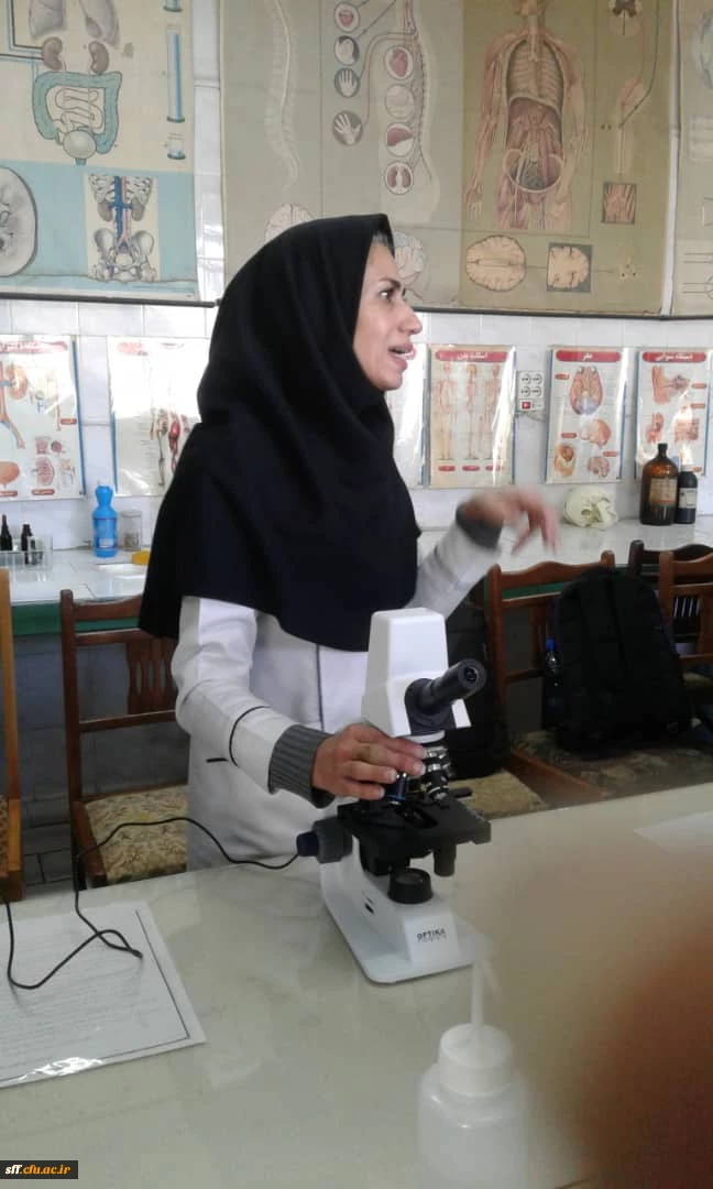 برگزاری کارگاه کار با میکروسکوپ 2