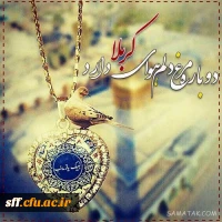 آبروی حسین به کهکشان می ارزد ، یک موی حسین بر دو جهان می ارزد ،
 گفتم که بگو بهشت را قیمت چیست ، گفتا که حسین بیش از آن می ارزد 2