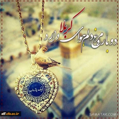 آبروی حسین به کهکشان می ارزد ، یک موی حسین بر دو جهان می ارزد ،
 گفتم که بگو بهشت را قیمت چیست ، گفتا که حسین بیش از آن می ارزد