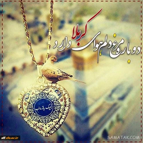 آبروی حسین به کهکشان می ارزد ، یک موی حسین بر دو جهان می ارزد ،
 گفتم که بگو بهشت را قیمت چیست ، گفتا که حسین بیش از آن می ارزد 2