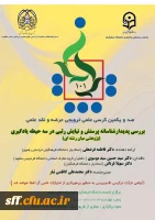 بررسی پدیدار شناسانه پرستش و نیایش رتبی در سه حیطه یادگیری 2