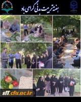 برگزاری همایش پیاده روی به مناسبت هفته تربیت بدنی  6