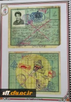 دیدار با خانواده شهید گرانقدر عباس زارع 5