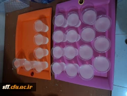 برگزاری جشن اعیاد شعبانیه در مرکز سلمان فارسی شیراز  7