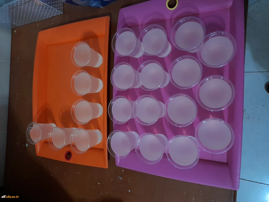 برگزاری جشن اعیاد شعبانیه در مرکز سلمان فارسی شیراز  7