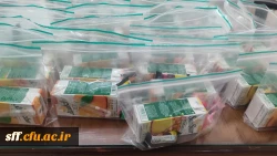 برگزاری جشن نیمه شعبان در مرکز سلمان فارسی شیراز  5