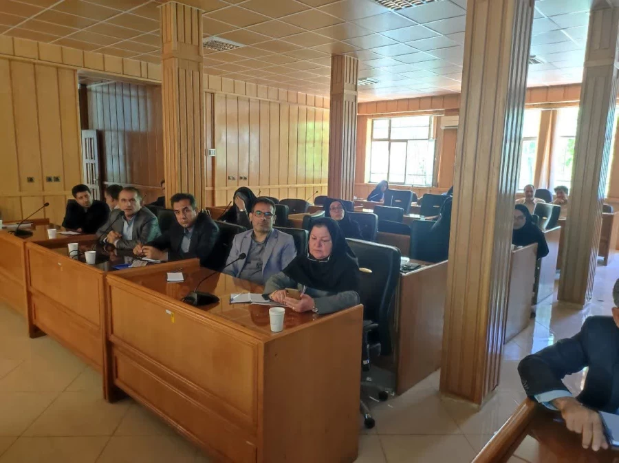 برگزاری کارگاه های حضوری(پژوهشی) ویژه اعضای هیئت علمی استان های فارس و بوشهر و کهکیلویه و بویراحمد در واحد دانشگاهی سلمان فارسی شیراز  5