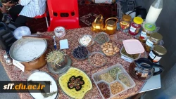 برگزاری همایش اقوام در واحد دانشگاهی سلمان فارسی شیراز 10