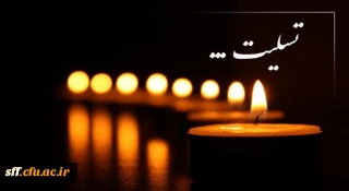 شهادت و زخمی شدن جمعی از زائران حرم مطهر حضرت احمد بن موسی علیه السلام تسلیت باد.