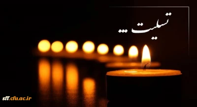 شهادت و زخمی شدن جمعی از زائران حرم مطهر حضرت احمد بن موسی علیه السلام تسلیت باد.