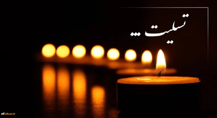 شهادت و زخمی شدن جمعی از زائران حرم مطهر حضرت احمد بن موسی علیه السلام تسلیت باد.. 2