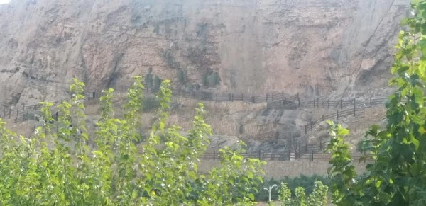 برگزاری هفته تربیت بدنی در واحد دانشگاهی سلمان فارسی شیراز 9