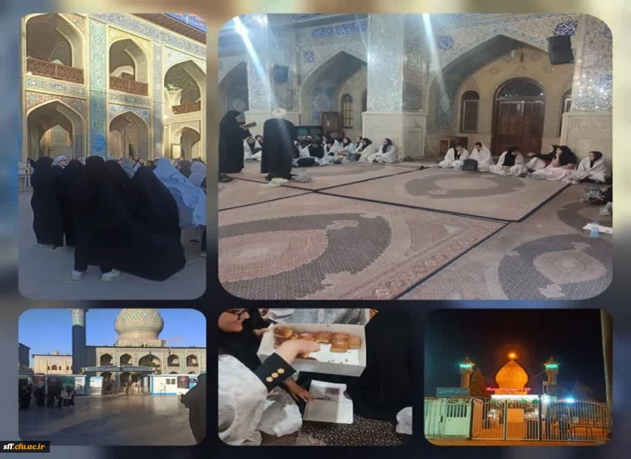 اردوی زیارتی حرم مطهر سید علاءالدین الحسین 2