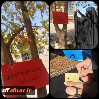 دلنوشته های فاطمی 2