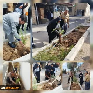  آیین درختکاری 