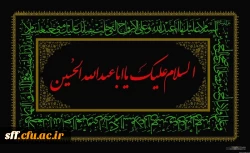 السلام علیک یا اباعبدالله الحسین (ع)  2